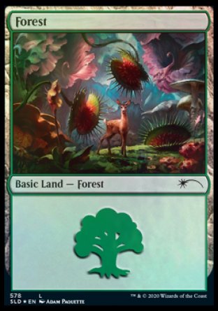 Forest (Predatory) (578) [Secret Lair Drop Promos] | Gamers Paradise