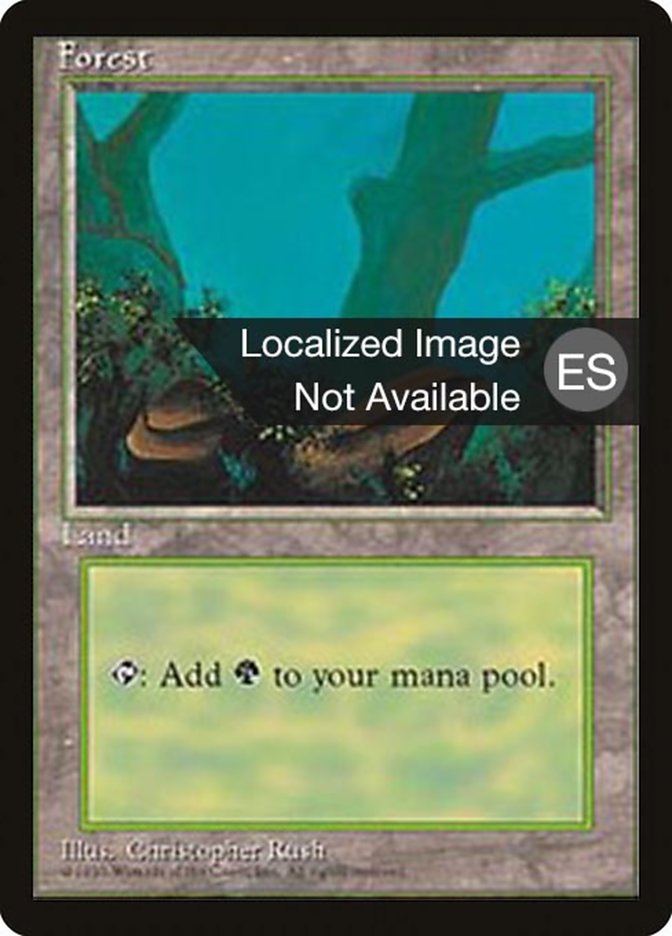 Forest (A) [Fourth Edition (Foreign Black Border)] | Gamers Paradise