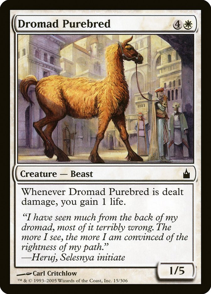Dromad Purebred [Ravnica: City of Guilds] | Gamers Paradise
