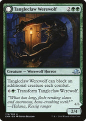 Tangleclaw Werewolf // Fibrous Entangler [Eldritch Moon] | Gamers Paradise