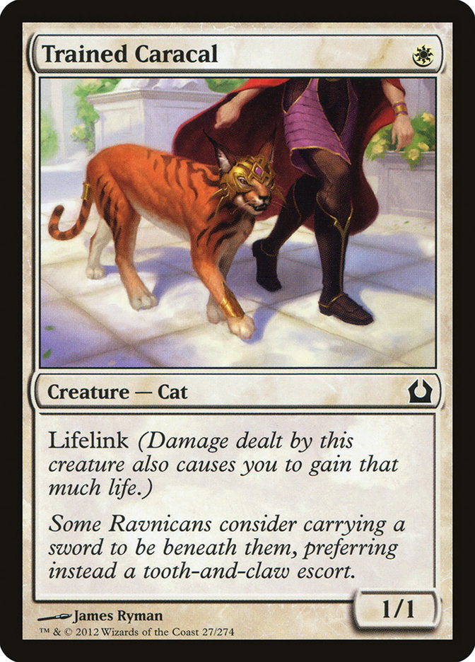 Trained Caracal [Return to Ravnica] | Gamers Paradise