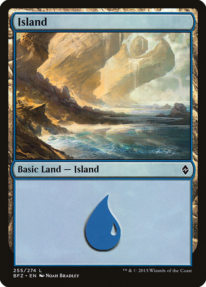 Island (255a) [Battle for Zendikar] | Gamers Paradise