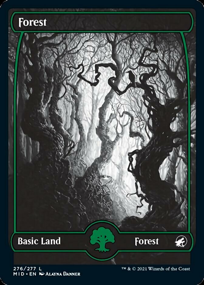 Forest (276) [Innistrad: Midnight Hunt] | Gamers Paradise