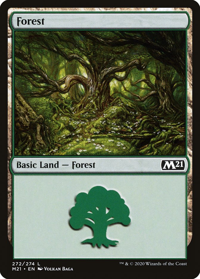 Forest (272) [Core Set 2021] | Gamers Paradise