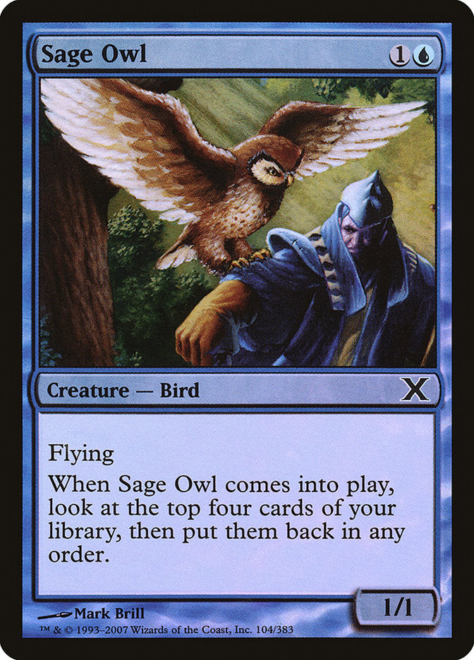 Sage Owl (Premium Foil) [Tenth Edition] | Gamers Paradise