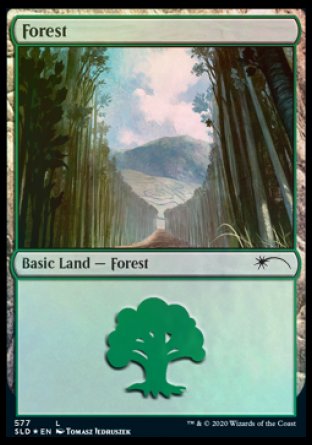 Forest (Walls) (577) [Secret Lair Drop Promos] | Gamers Paradise