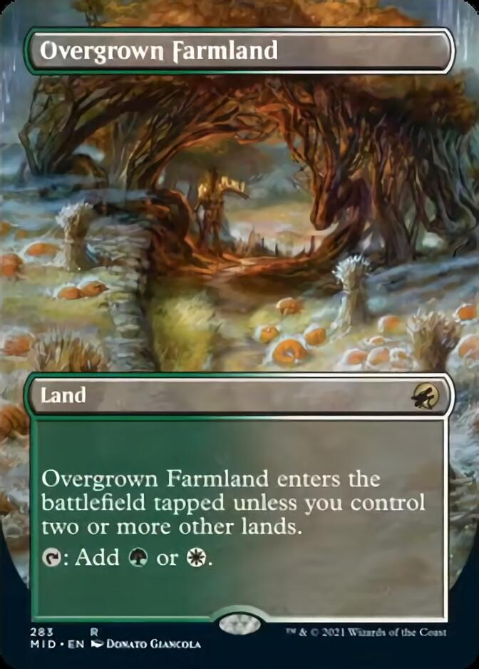 Overgrown Farmland (Borderless Alternate Art) [Innistrad: Midnight Hunt] | Gamers Paradise