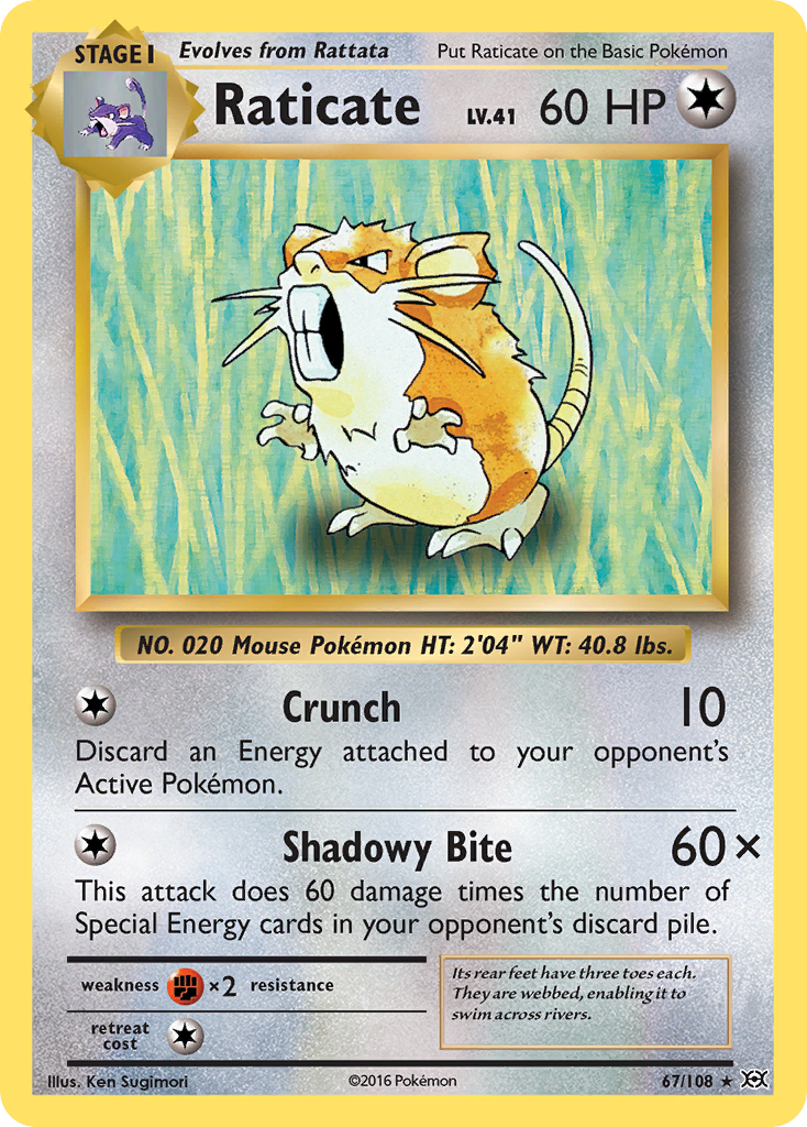 Raticate (67/108) [XY: Evolutions] | Gamers Paradise