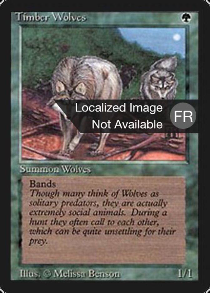 Timber Wolves [Foreign Black Border] | Gamers Paradise