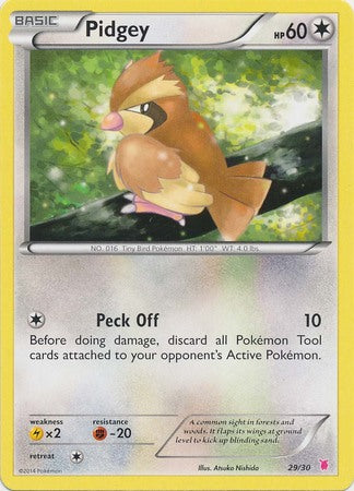 Pidgey (29/30) [XY: Trainer Kit 1 - Wigglytuff] | Gamers Paradise