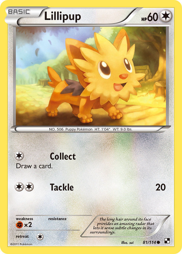 Lillipup (81/114) [Black & White: Base Set] | Gamers Paradise