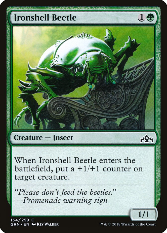 Ironshell Beetle [Guilds of Ravnica] | Gamers Paradise