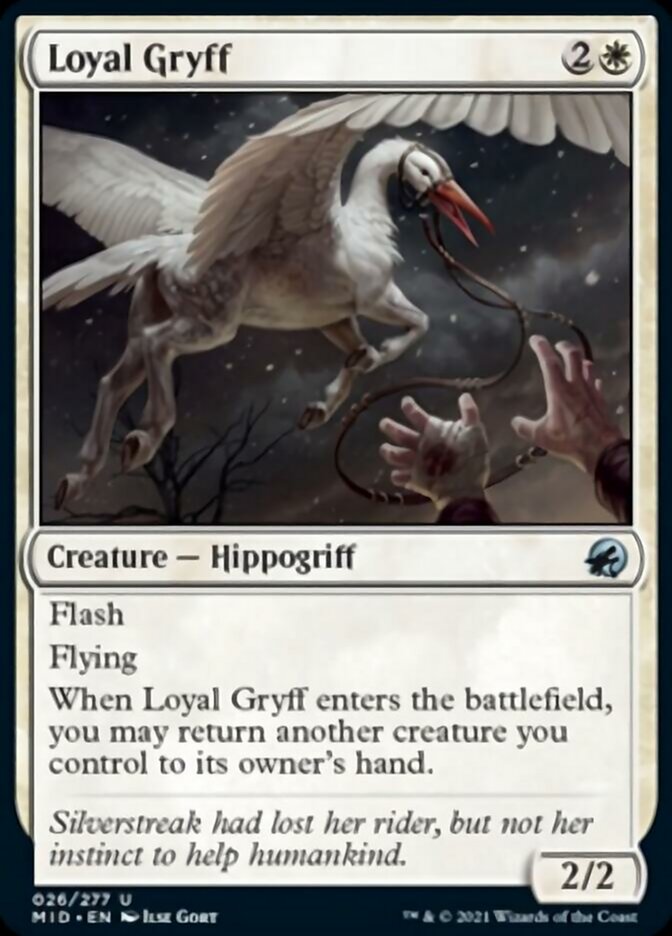 Loyal Gryff [Innistrad: Midnight Hunt] | Gamers Paradise