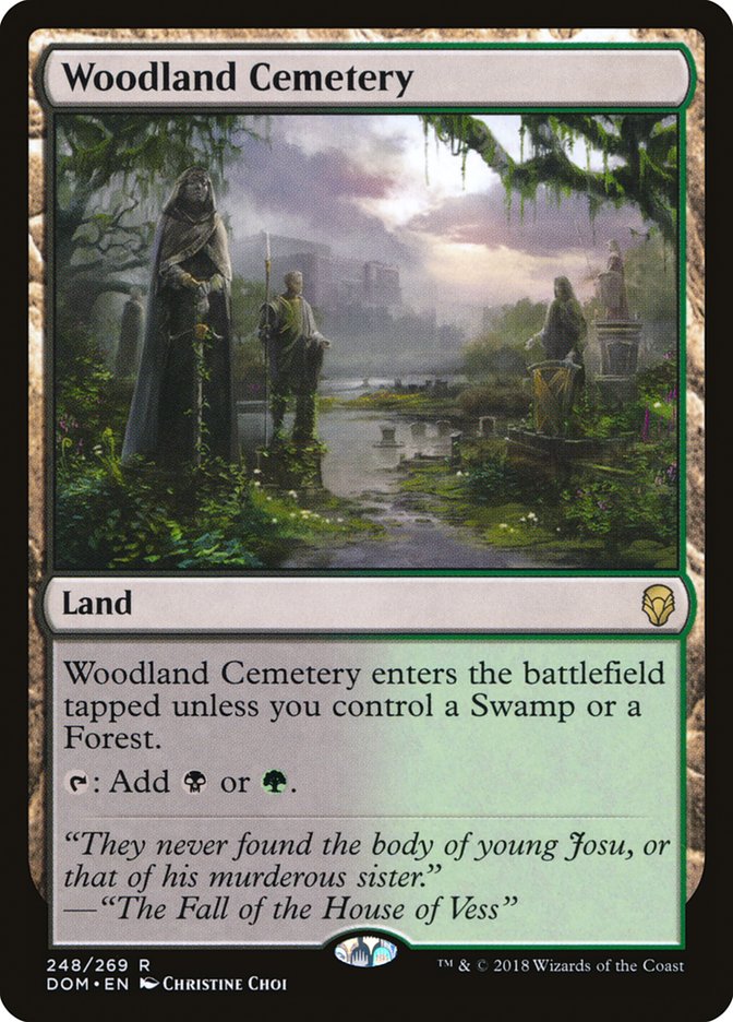 Woodland Cemetery [Dominaria] | Gamers Paradise