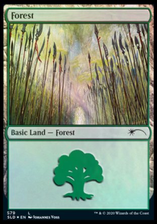Forest (Elves) (579) [Secret Lair Drop Promos] | Gamers Paradise