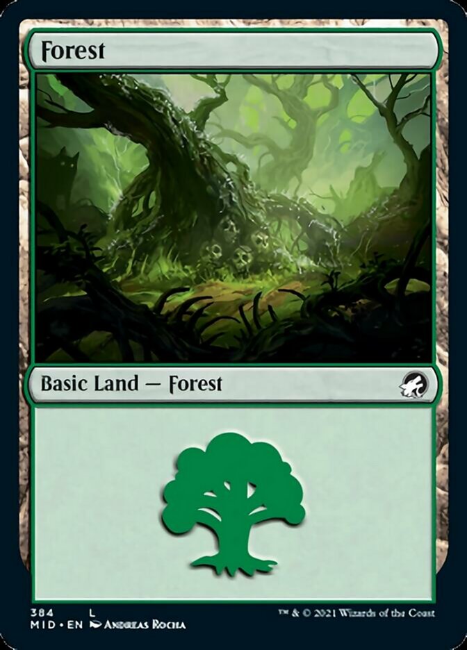 Forest (384) [Innistrad: Midnight Hunt] | Gamers Paradise