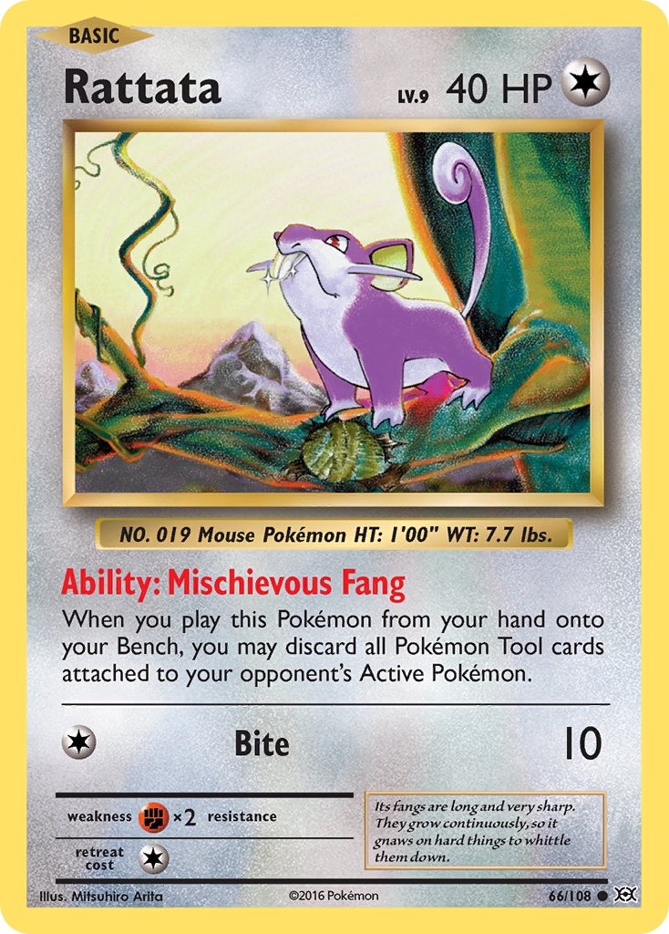 Rattata (66/108) [XY: Evolutions] | Gamers Paradise