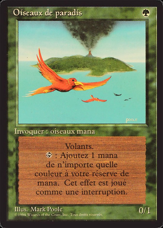 Birds of Paradise [Foreign Black Border] | Gamers Paradise