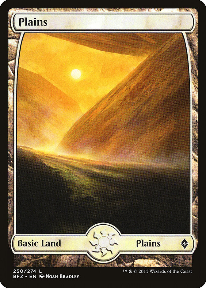 Plains (250) [Battle for Zendikar] | Gamers Paradise