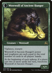 Sage of Ancient Lore // Werewolf of Ancient Hunger [Shadows over Innistrad] | Gamers Paradise