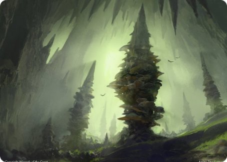 Forest (280) Art Card [Dungeons & Dragons: Adventures in the Forgotten Realms Art Series] | Gamers Paradise