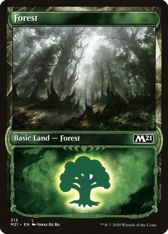 Forest (313) (Showcase) [Core Set 2021] | Gamers Paradise