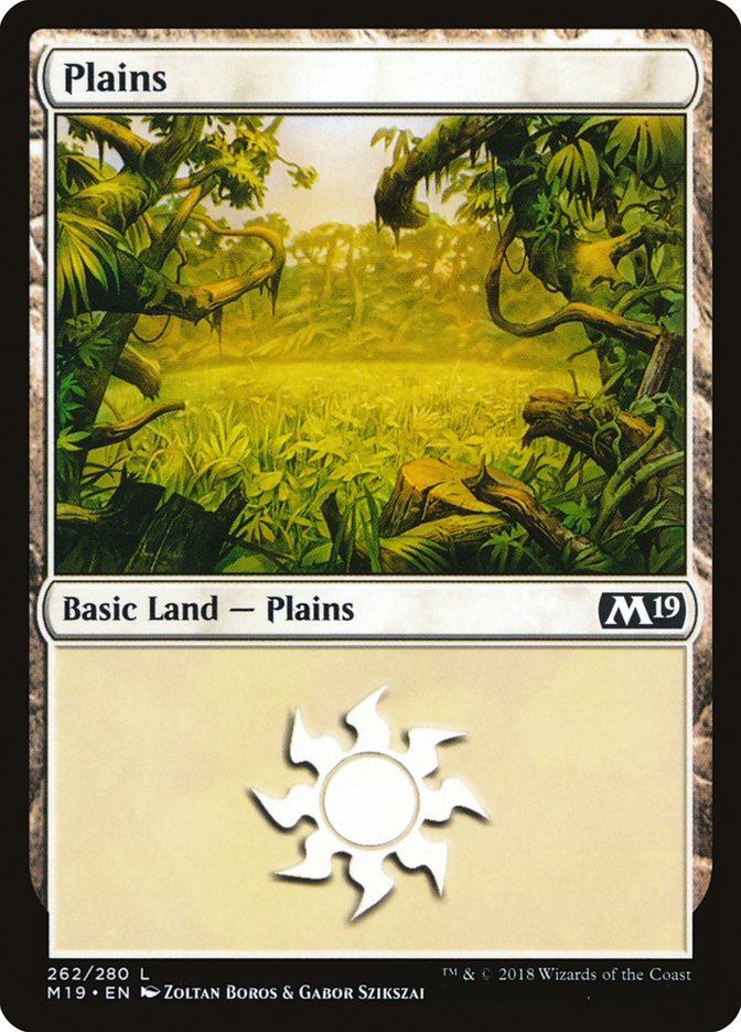 Plains (262) [Core Set 2019] | Gamers Paradise