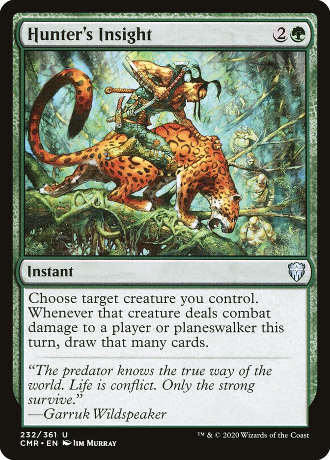Hunter's Insight [Commander Legends] | Gamers Paradise