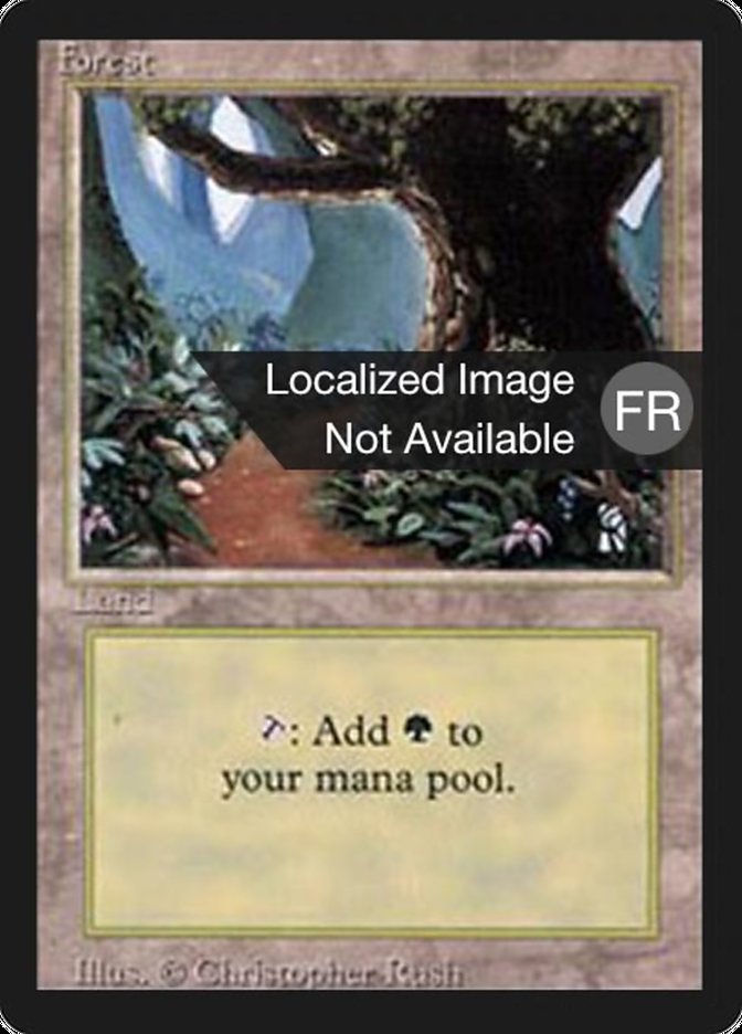 Forest (B) [Foreign Black Border] | Gamers Paradise